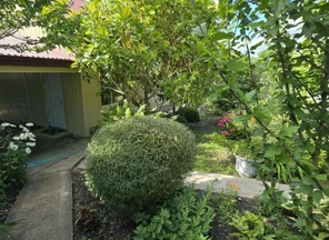 image-2-3
